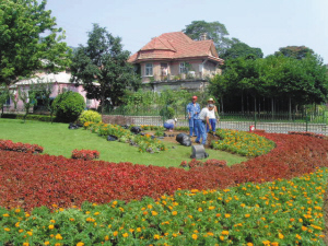 沙區多路段完成應季花卉更新及蔬菜種植工作